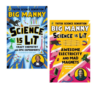 and Lit Mad Magnets 电与疯狂 Awesome 英文原版 魅力 科普读物 神奇 磁铁2册 Electricity Science 趣味科学 预售 自营