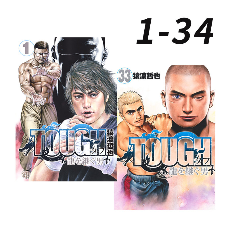 【自营】预售 日漫 滩神影流 龙之继承者 1-34 共34册 TOUGH 龍を継ぐ男 猿渡哲也 集英社 日文原版