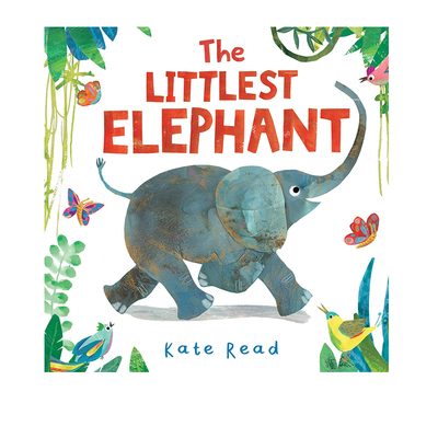 TheLittlestElephant小小象