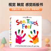 颜色数字字母英语启蒙 英文原版 Touch See Roger Feel感官认知触摸书 DK触摸书婴儿早教 纸板视觉触觉感官认知 绘本 Priddy