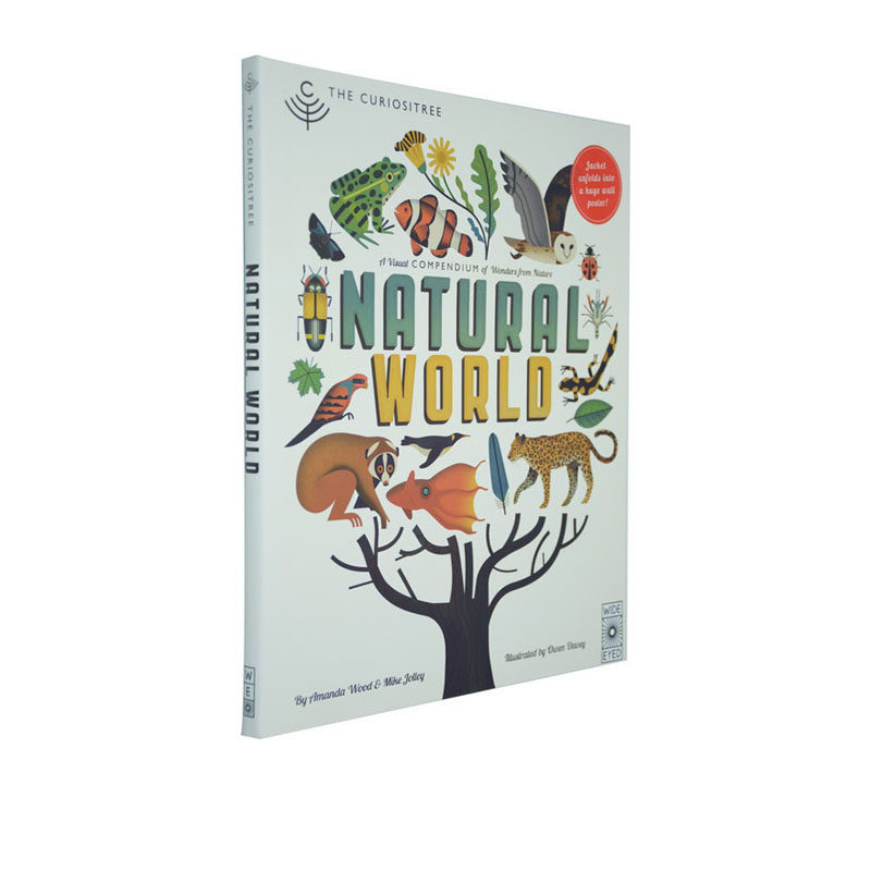 英文原版The Curiositree Natural World 自然之美 奇妙的世界 科普绘本精装大本