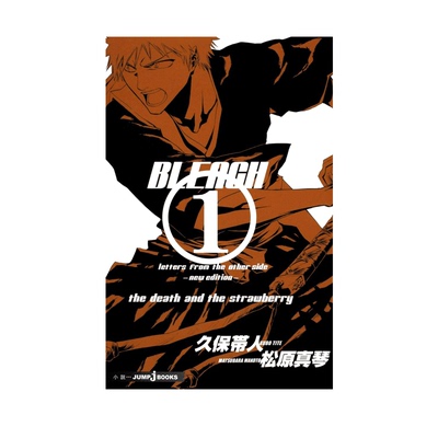 预售 死神BLEACH 日文轻小说 BLEACH letters from the other side -new edition 绿山墙日文原版