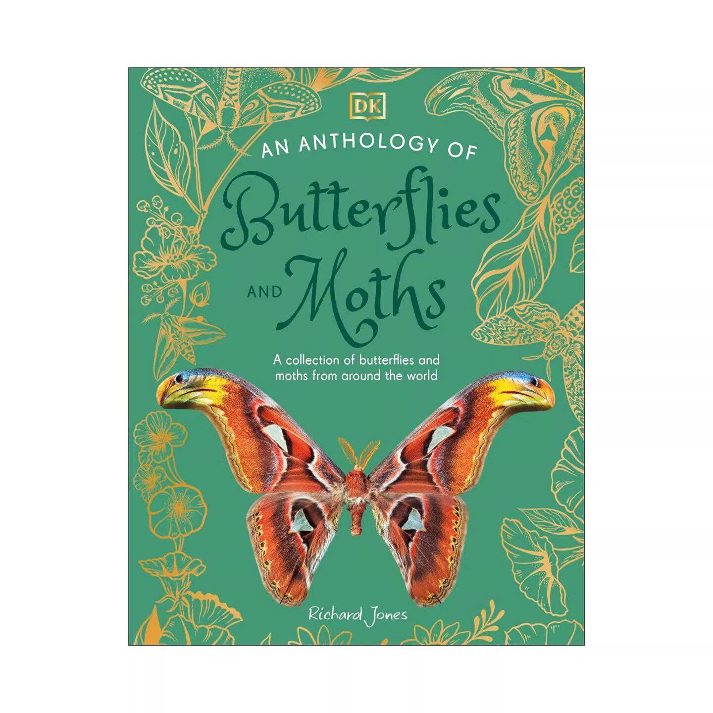 预售 DK典藏博物馆系列 蝴蝶与蛾选集 DK An Anthology of Butterflies and Moths 100多种世界各地的蝴蝶和飞蛾 昆虫科普百科精装