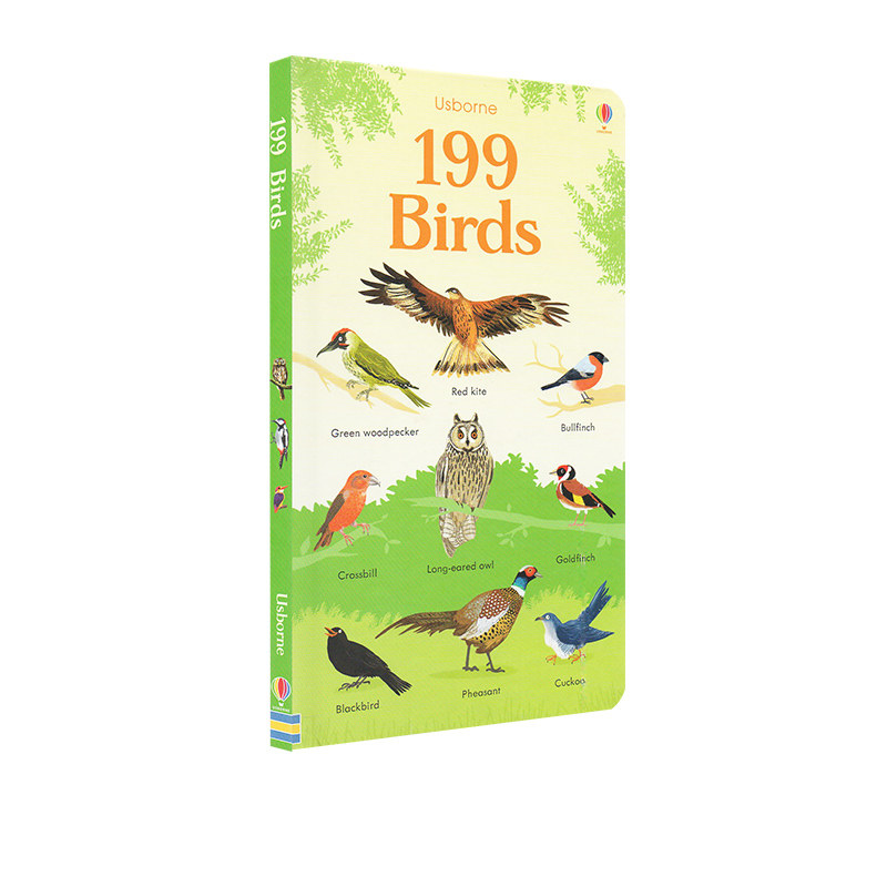 英文原版 usborne 199 birds 199只来自世界各地的鸟 名字单词学习书
