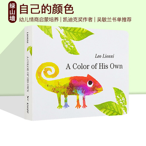 英文原版自己的颜色纸板书