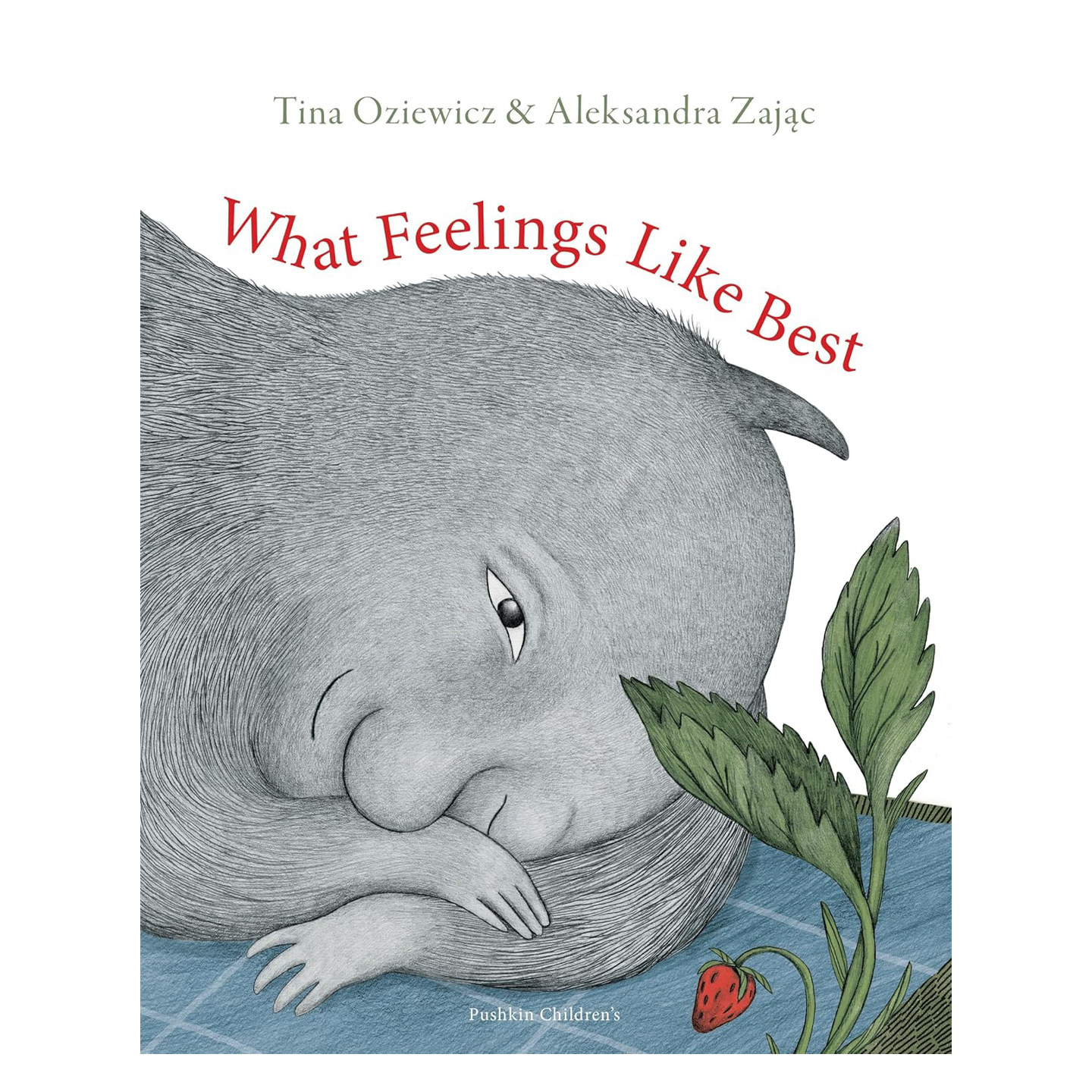 情绪们的喜爱时光 What Feelings Like Best 儿童情绪管理 精装绘本 3-8岁亲子共读睡前故事书 Pushkin Press出版社 英文原版