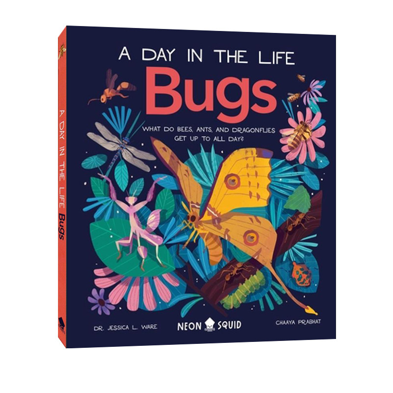 英文原版 Bugs (A Day in the Life): What Do &hellip; 生命中的一天 昆虫每天都在做什么 精装 少儿知识科普绘本图画书