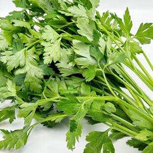 Fresh Italian coriander 新鲜欧芹蔬菜西餐沙拉食材parsley200G