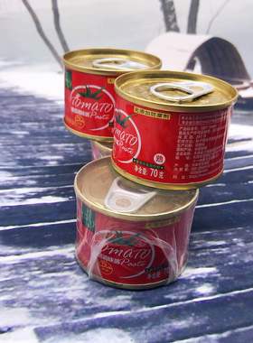 西域莎莎番茄调味酱 番茄膏 番茄酱60g Tomato paste