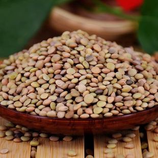 小豌豆 小扁豆 扁小豆 冰豆凉粉原料五谷杂粮1kg Lentil