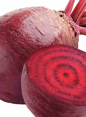 Fresh Carrots甜菜根紫萝卜菜beetroot新鲜紫甜菜榨汁约1KG红菜头