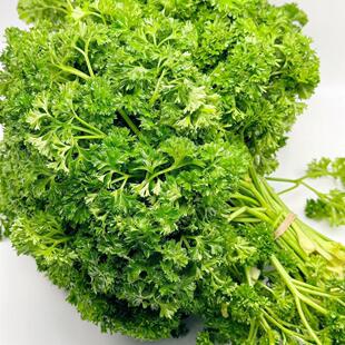 Fresh Italian coriander parsley约200G新鲜意大利香菜 番西欧芹