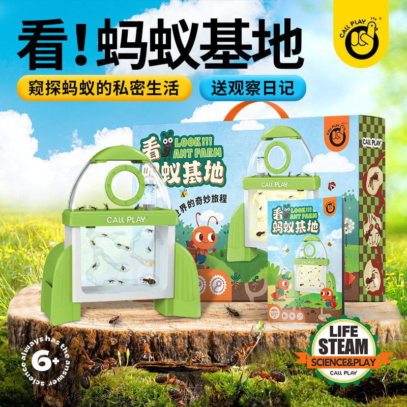 科答鸭蚂蚁工坊别墅家园 城堡生态学生蚁巢庄园 活体弓背蚁后