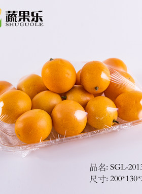 长方形水果蔬菜托盘冷鲜肉打包盒
