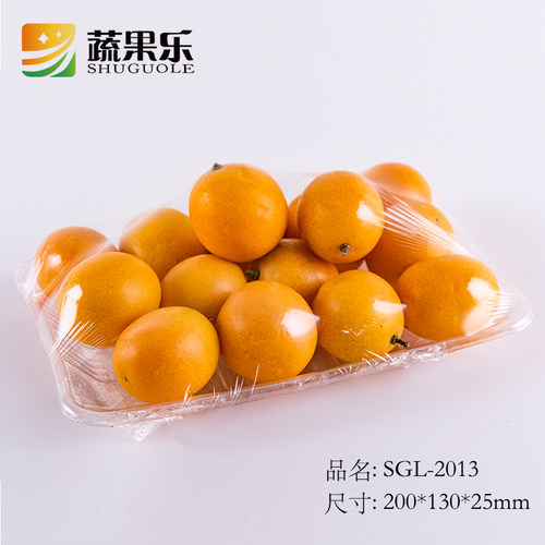 长方形水果蔬菜托盘冷鲜肉打包盒