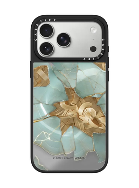 现货CASETiFY正品联名Feng Chen Wang适用苹果iPhone17pro max竹魄金缮竹瓷手机壳16/15/14东方美学air保护套