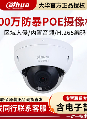 大华400万星光红外防暴录音半球网络摄像机 DH-IPC-HDBW2433R-SA