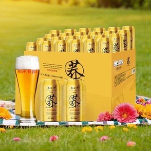 荞公子苦荞原浆啤酒500ml*12罐整箱装 易拉罐啤酒苦荞麦黄啤格拉