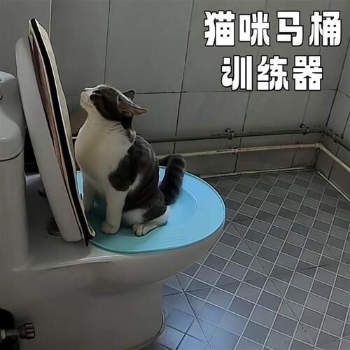 猫咪马桶训练器上厕所蹲厕训练神器可拆卸坐便猫砂盆防外溅猫砂盘