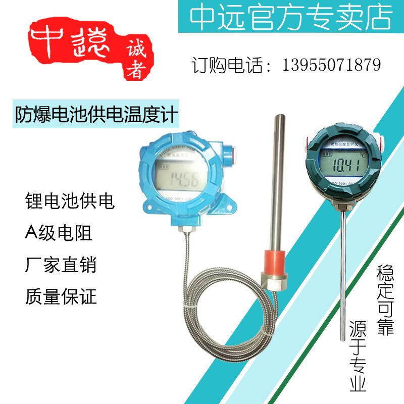 防爆分体式一体化电池供电温度计就地...