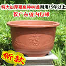 特大加厚耐晒塑料树脂花盆庭院户外楼顶种大树果树盆景有孔福字盆