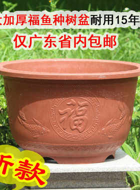 庭院楼顶户外有孔树脂花盆种果树