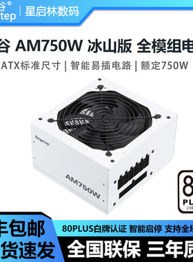 鑫谷AM650W/750W/850W冰山版白色黑色白牌智能温控台式电脑电源