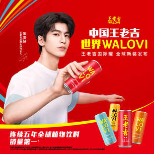 白云山王老吉国际罐凉茶植物饮料送礼年货马年拜年礼 张凌赫同款