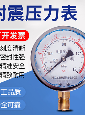 耐振YN100耐震压力表0-0.6/1/1.6/2.5/MPA抗震防震动进油压力表