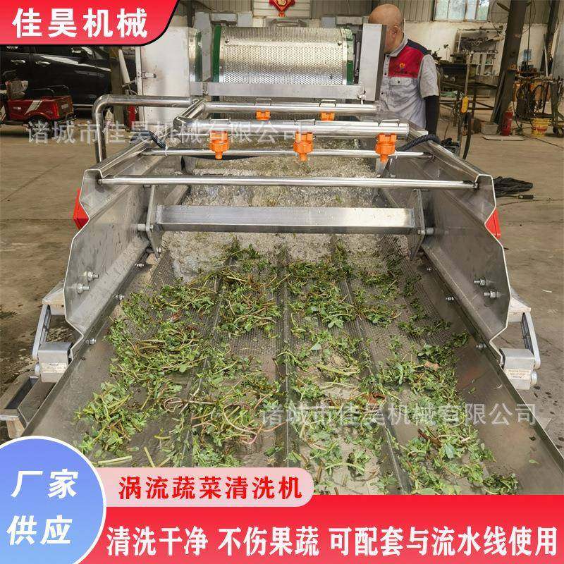 叶菜类果蔬清洗设备木耳银耳涡流清洗机蔬菜气泡清洗机洗菜机
