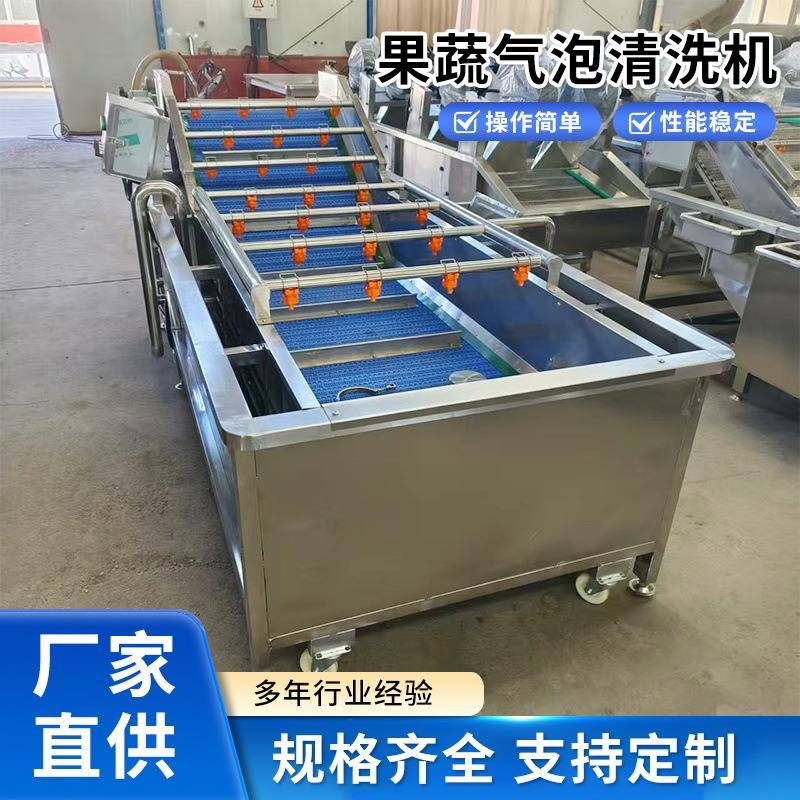 全自动果蔬气泡清洗机蔬菜竹笋水果中药材大型商用涡流自动洗菜机