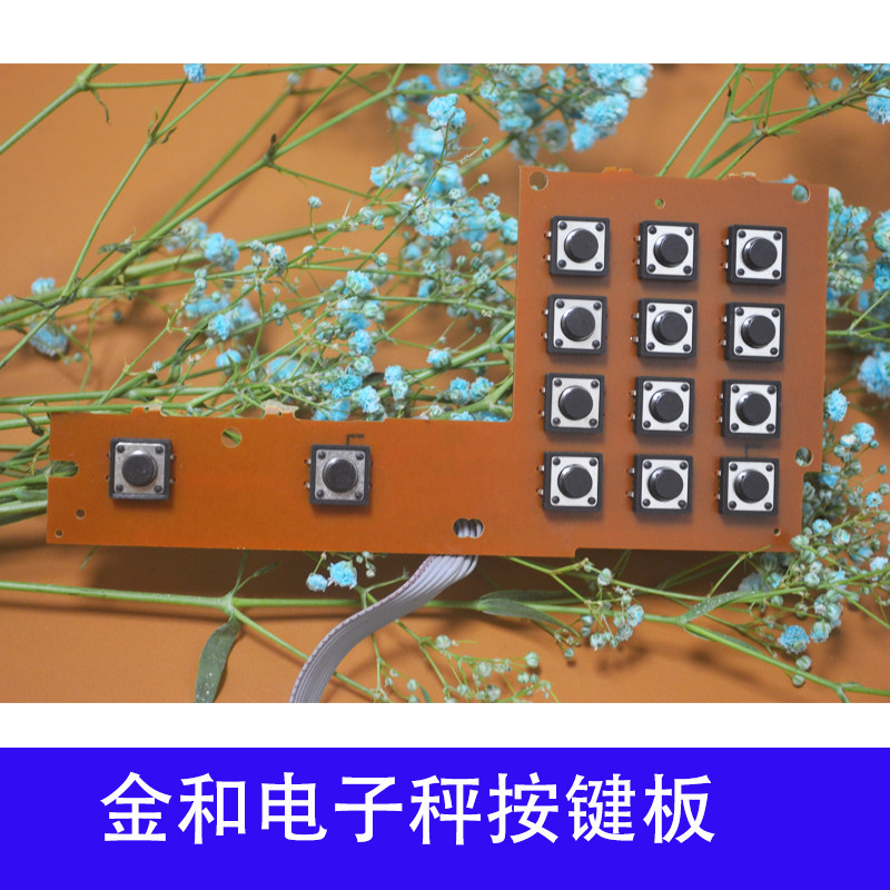 金和香海凯丰大红鹰永杰电子秤图片