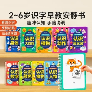 识字早教安静书幼儿启蒙游戏书学前认字粘贴SJ