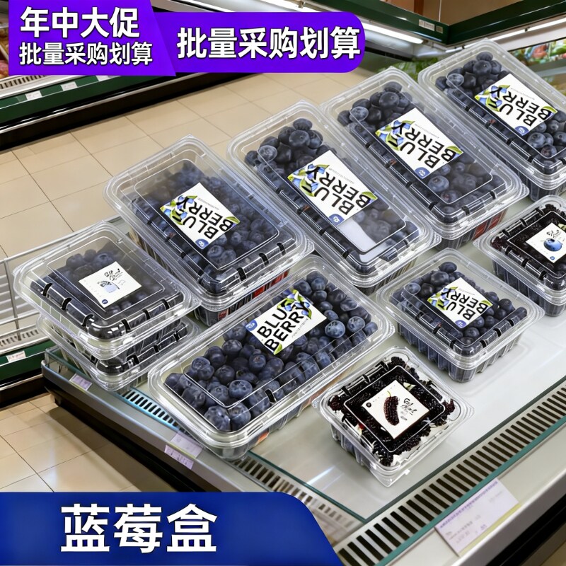 125g 蓝莓透明塑料盒食品级加厚防压带透孔防雾高透卖相商超摆摊