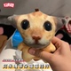 阿米嘎蒂朵喵喵挂件抽象丑猫按压发声语音钥匙扣整蛊解压小玩意