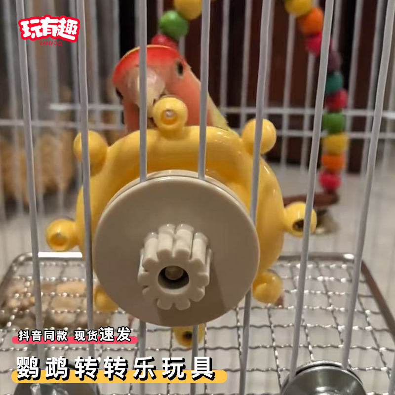 鹦鹉转转乐玩具水手开船解闷自嗨牡丹鹦鹉玄凤鸟笼装饰专用小玩具,宠物/宠物食品及用品,鸟玩具,淘宝优惠券,粉丝福利购,淘宝优惠卷