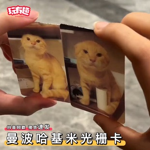 猫meme耄耋猫哈基米曼波小猫咪光栅卡3d立体镭射多变创意小卡片