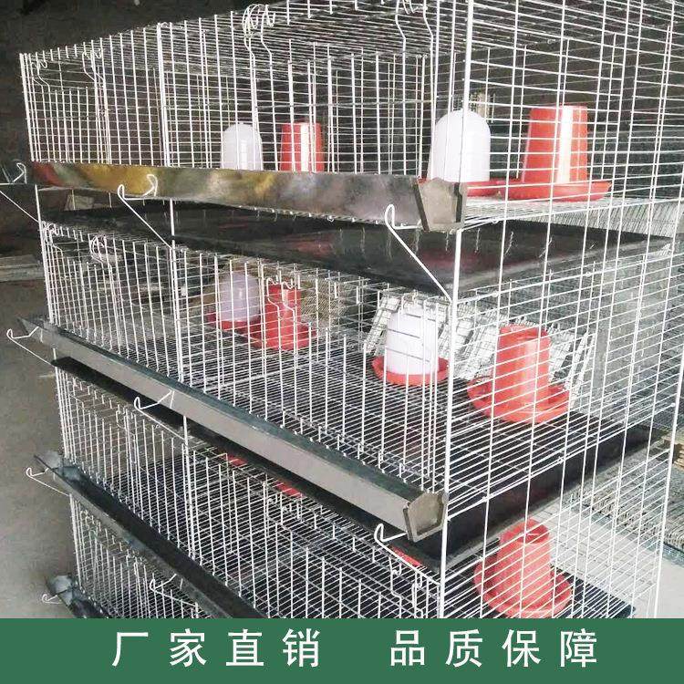 厂家供应鸡笼四层立体式小鸡笼鸡笼设备养殖鸡笼家禽养殖设,畜牧/养殖物资,畜牧/养殖器械,淘宝优惠券,粉丝福利购,淘宝优惠卷