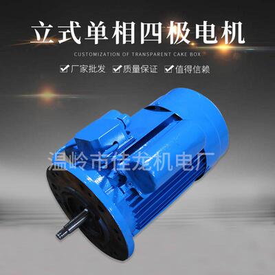 YL80L-4减速器转配电机立式单相四级电机220V恒速单相异步电动机