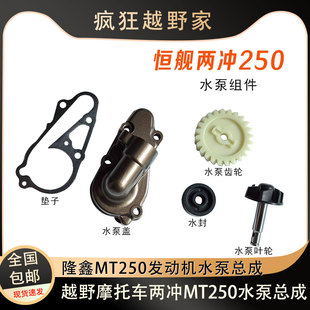 恒艦兩沖水泵蓋 水封齒輪墊子 隆鑫MT250水泵組件 DT230水泵葉輪