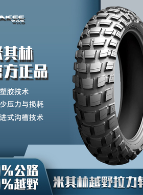 米其林ANAKEE WILD摩托车轮胎越野拉力ADV专用水鸟1200油鸟全天候