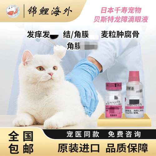 日本千寿滴眼液贝斯特龙粉瓶宠物结膜猫狗红肿消焱眼药水腐骨角膜