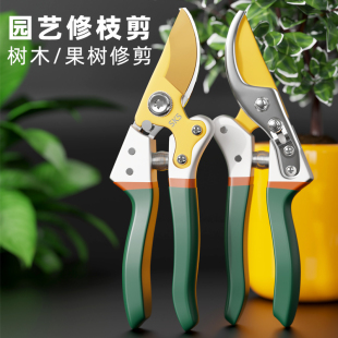 苍强园艺剪刀SK5省力修枝剪园林果树盆栽造景裁剪工具花艺剪子