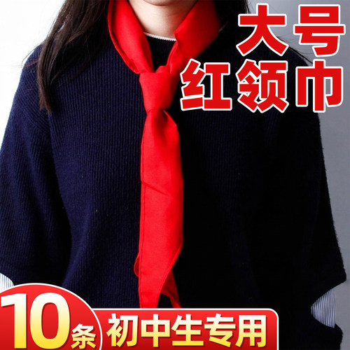 【10条初中生专用】大号红领巾