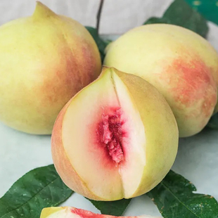 广东嫁接连平鹰嘴桃果树苗三月桃果树苗南北方种植庭院地栽包结果