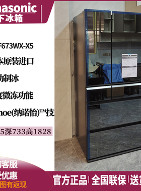 Panasonic/松下NR-F673WX-X5/F658WX/F607HX日系原装进口镜面冰箱