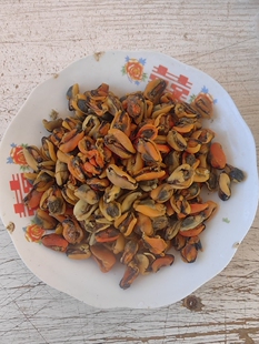 山东威海荣成海虹干海红干淡菜500克