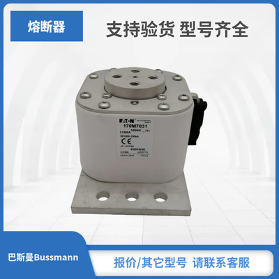 170M7542 170M7031 170M7548 170M7034现货巴斯曼Bussmann熔断器
