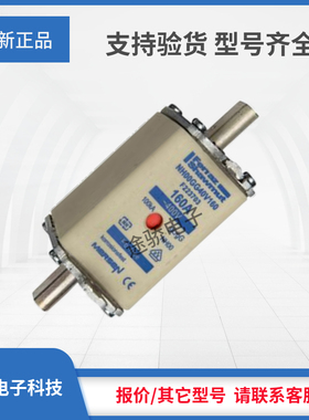 议价全新罗兰熔断器E223702/NH00GG40V125 F223703/NH00GG40V160