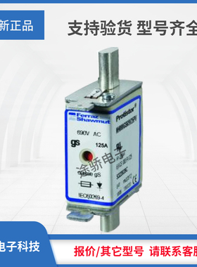 议价E322165/NH00GS69V125PV J322169/NH00GS69V160PV罗兰熔断器
